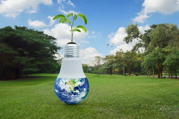 Earth Globe Led Light Bulb Fresh Green Tree Leaves Green — Stock Photo, Image