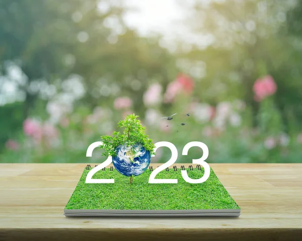 2023 Weißer Text Mit Planet Und Baum Auf Grünem Gras — Stockfoto