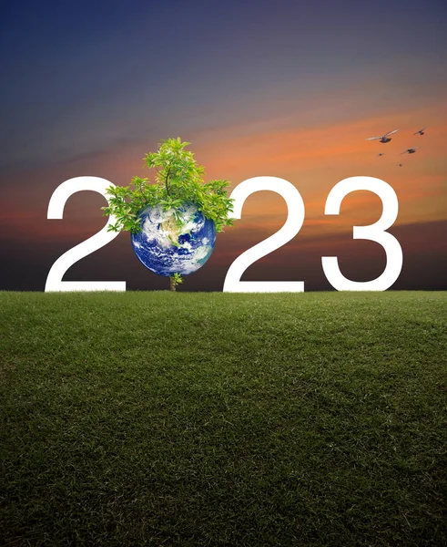 2023 Beyaz Metin Gezegenli Ağaçlı Yeşil Çimenlik Gökyüzünde Kuşlarla Birlikte — Stok fotoğraf