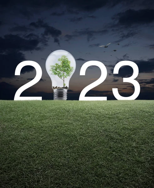 2023 Texto Branco Lâmpada Com Árvore Dentro Campo Grama Verde — Fotografia de Stock
