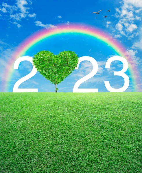 Árvore Forma Amor Coração Com 2023 Texto Branco Campo Grama — Fotografia de Stock