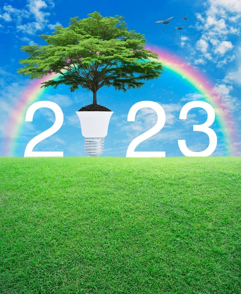 Big Green Tree Soil Light Bulb 2023 Letter Green Grass — Stock Photo, Image