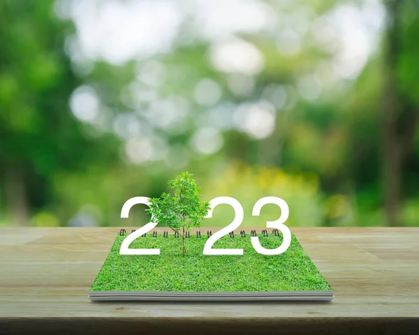2023 white text with growing tree on green grass on open book on wooden table over blur green tree in park, Happy new year 2023 ecological cover concept