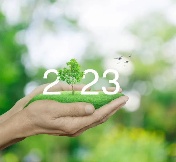 2023 Beyaz Metin Yeşil Çimen Tarlasında Büyüyen Ağaç Ile Insan — Stok fotoğraf
