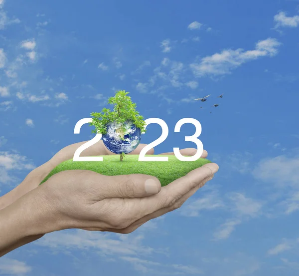 2023 Texto Branco Com Planeta Árvore Campo Grama Verde Mãos — Fotografia de Stock