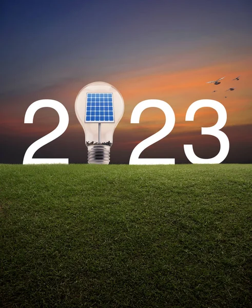2023 white letter and light bulb with solar cell inside on green grass field over sunset sky with birds, Happy new year 2023 ecological cover concept