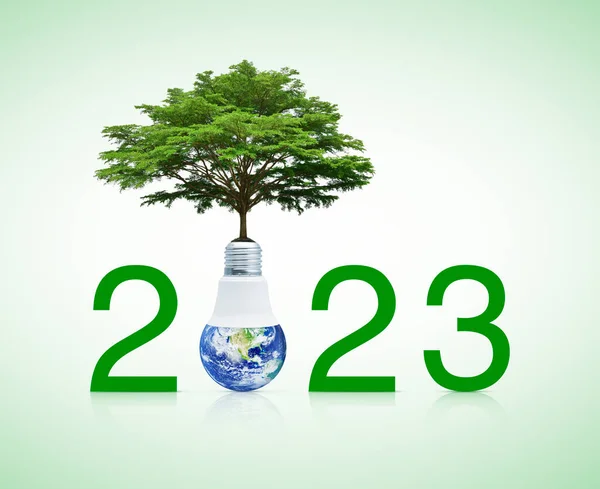 2023 Metni Toprak Üzerindeki Büyük Ağaç Önde Gelen Ampulün Içinde — Stok fotoğraf