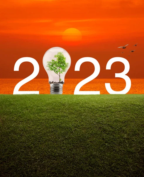 2023 white text and light bulb with tree inside on green grass field over sunset sky and sea with birds, Happy new year 2023 ecological cover concept