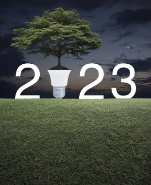 Toprakta ampullü büyük yeşil ağaç ve 2023 harfli yeşil çimenlik alanda günbatımı gökyüzünde kuşlarla birlikte. Mutlu yeni yıl ekolojik kapak kavramı.