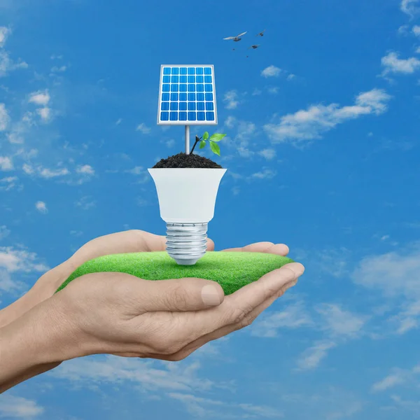 Solar cell and fresh green tree leaves on soil with light bulb in hands over blue sky and birds, Green ecology and saving energy concept