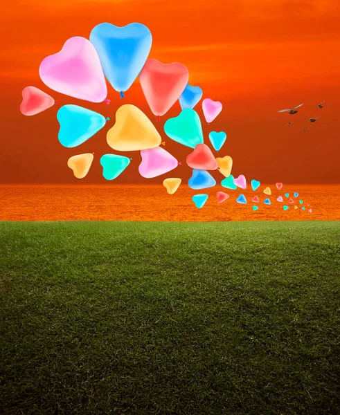 Colorful love heart balloon over green grass field, sunset sky and sea with birds, Happy valentines day concept
