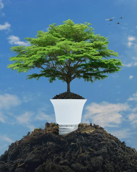 Fresh green tree on soil with light bulb over blue sky and birds, Green ecology and saving energy concept