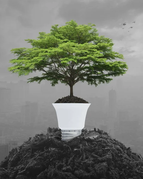 Fresh green tree on soil with light bulb over pollution city tower and skyscraper, Green ecology and saving energy concept