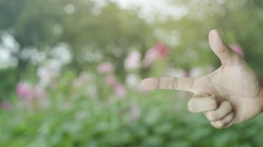 Parktaki bulanık pembe çiçek ve ağaç üzerinde simgesi olan uçak, iş seyahati sigortası ve güvenlik konsepti