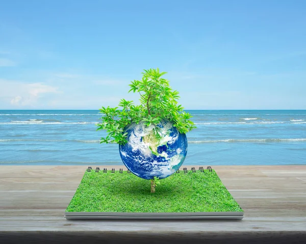Earth with tree from an open book on wooden table over tropical sea and blue sky with white clouds, Business Ecology concept, Elements of this image furnished by NASA