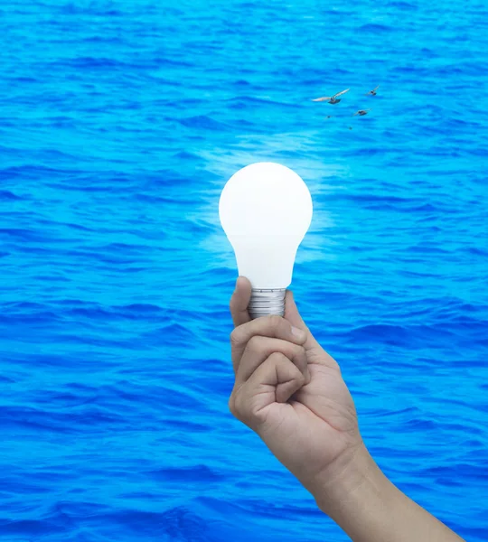 Hand holding led light bulb over blue sea with birds, Green ecology and saving energy concept