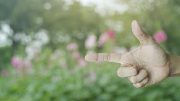 Кнопка Живлення Плоский Значок Пальці Над Розмитою Рожевою Квіткою Деревом — стокове відео