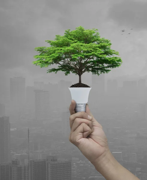 Hand Holding Big Green Tree Soil Light Bulb Pollution City — Stock Photo, Image