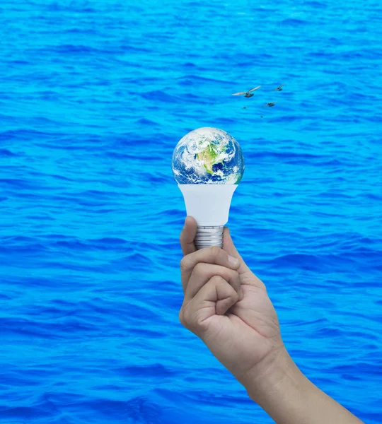 Hand holding earth globe inside led light bulb over blue sea with birds, Green ecology and saving energy concept, Elements of this image furnished by NASA