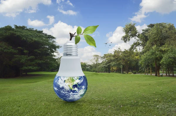 Earth globe inside led light bulb with fresh green tree leaves on green grass field in park, Green ecology and saving energy concept, Elements of this image furnished by NASA