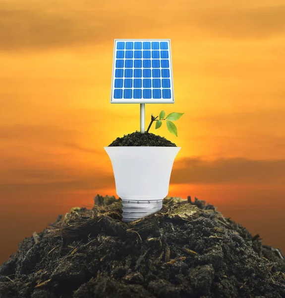 Solar Cell Fresh Green Tree Leaves Soil Light Bulb Sunset — Stock Photo, Image