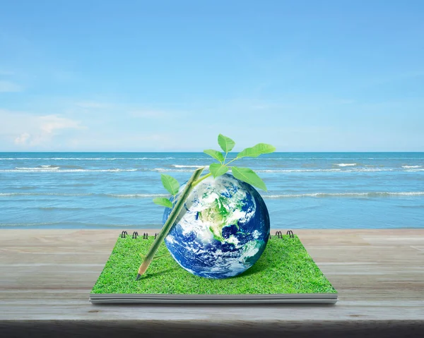 Wooden pencil tree trunk and leaves with planet earth on an open book on table over tropical sea and blue sky with white clouds, Idea for earth concept, Elements of this image furnished by NASA