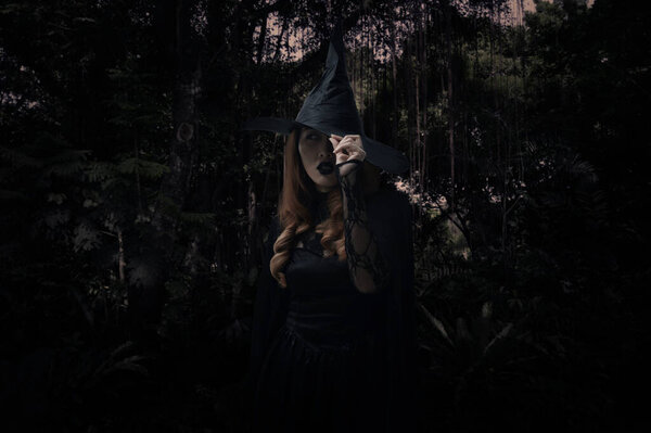 Scary halloween witch standing over dark forest and tree, Halloween mystery concept