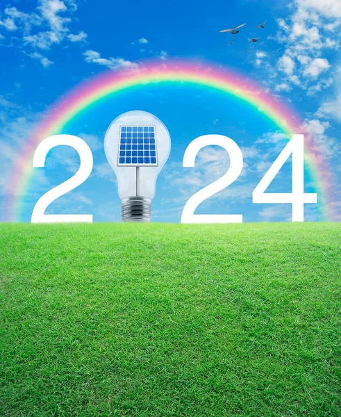 2024白いテキストおよび白い雲が付いている緑の草のフィールドの内部の太陽電池が付いているライト バルブ 鳥および青空 幸せな新年2024の生態学的なカバーの概念 ストック写真