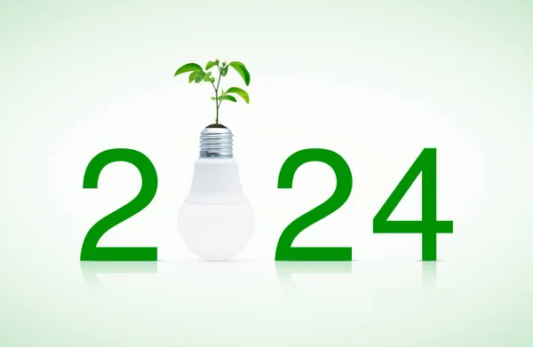 2024 Metin Taze Yeşil Ağaç Yaprakları Toprakta Beyaz Zemin Üzerinde Telifsiz Stok Imajlar