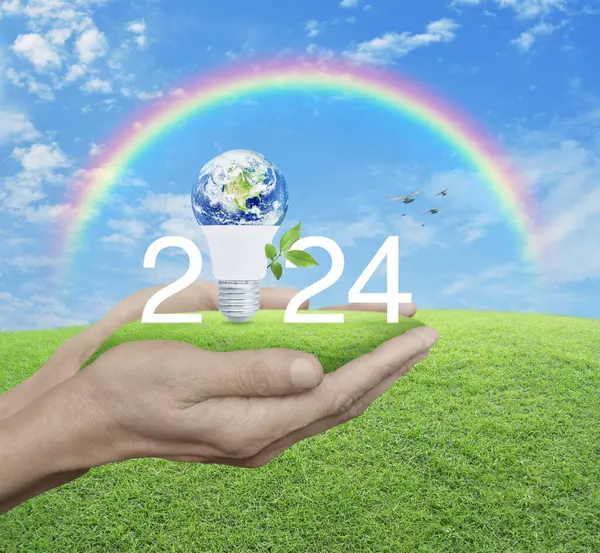 2024 white text and earth globe inside led light bulb with fresh leaves on green grass in hands over field and sky, Happy new year 2024 green ecology and saving energy concept, Elements of this image furnished by NASA