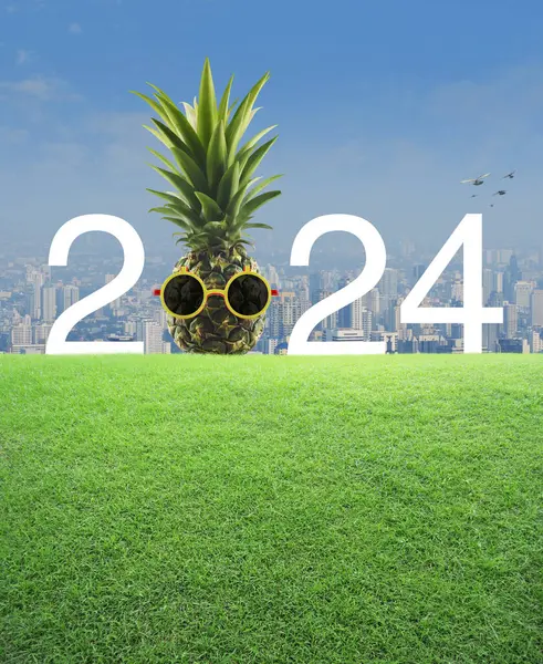 Pineapple with sunglasses and 2024 white text on green grass field over modern city tower and skyscraper, Happy new year 2024 summer holiday concept
