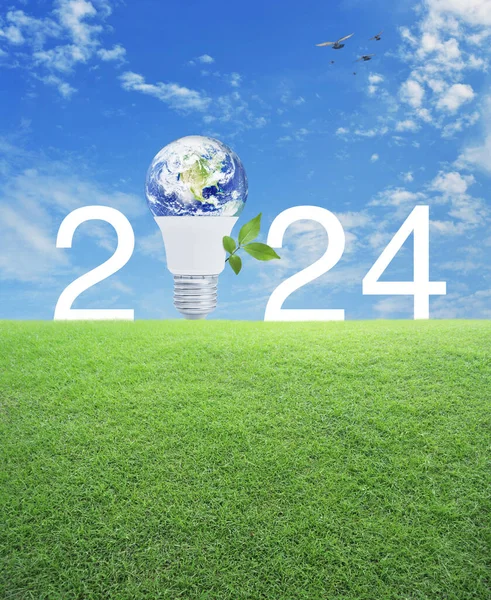 地球の内部の導かれた電球は青空の上の緑の草のフィールドの新鮮な葉そして2024の手紙 力およびエネルギーの概念を救う幸せな新年2024年 Nasaによって提供されるこのイメージの要素を導きました ストックフォト
