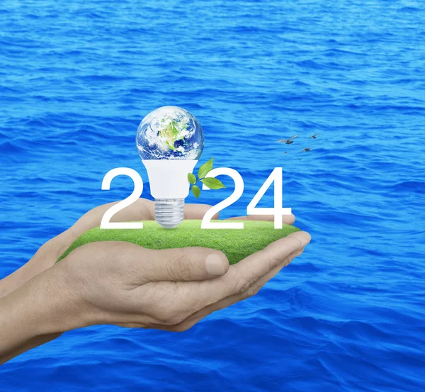 2024 white text and earth globe inside led light bulb with leaves on green grass in hands over blue sea, Happy new year 2024 green ecology and saving energy concept, Elements of this image furnished by NASA
