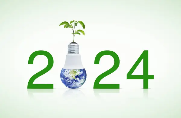 2024 text and earth globe inside led light bulb with fresh green tree leaves on soil, Happy new year 2024 ecology and saving energy concept, Elements of this image furnished by NASA