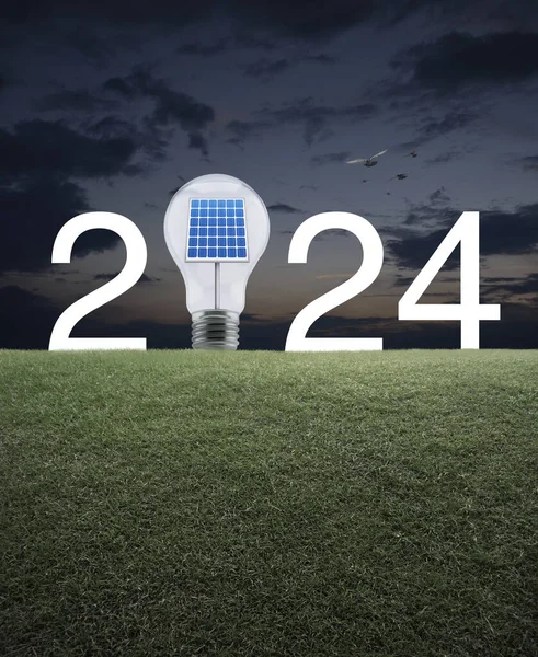 2024 white text and light bulb with solar cell inside on green grass field over sunset sky with birds, Happy new year 2024 ecological cover concept