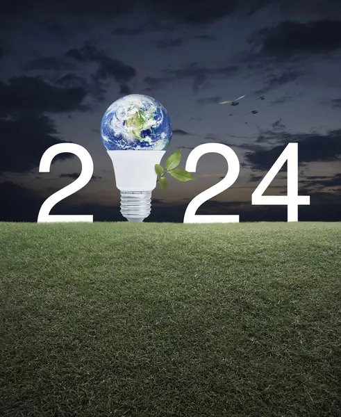 Earth globe inside led light bulb with fresh leaves and 2024 letter on green grass field over sunset sky, Happy new year 2024 ecology saving power and energy concept, Elements of this image furnished by NASA