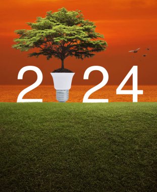 Toprakta ampullü büyük yeşil ağaç ve 2024 harfli yeşil çimen tarlasında günbatımında gökyüzü ve denizde kuşlarla birlikte mutlu yeni yıl ekolojik kapak kavramı.