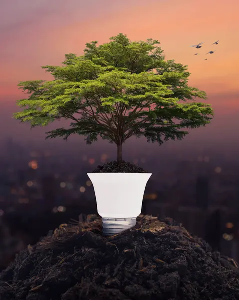 Fresh green tree on soil with light bulb over blur of cityscape on warm light sundown, Green ecology and saving energy concept