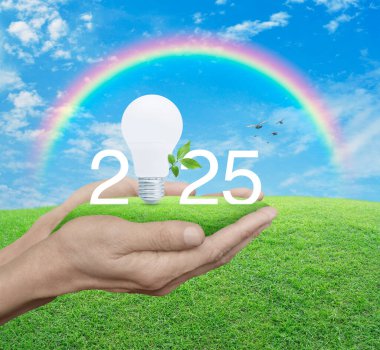 2025 beyaz metin ve yeşil çimenlerin üzerinde taze yapraklar bulunan ampul. Mavi gökyüzü, beyaz bulutlar ve gökkuşağı. Mutlu yıllar 2025 yeşil ekoloji ve tasarruf enerji kavramı.