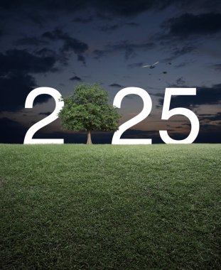 Günbatımı gökyüzü ve kuşların üzerinde yeşil çimen tarlasında ağaçlı 2025 beyaz metin, Mutlu yeni yıl ekolojik kapak konsepti