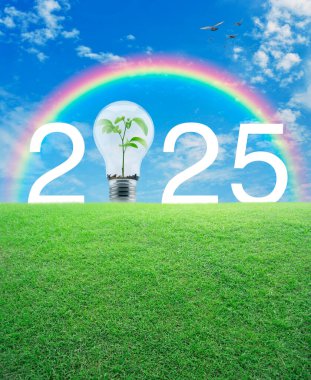 2025 beyaz yazı ve ampul içinde küçük bir ağaç olan yeşil çimlerin üzerinde gökkuşağı üzerinde kuşlar ve mavi gökyüzü beyaz bulutlarla mutlu yeni yıl 2025 ekolojik kapak konsepti