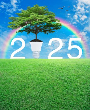Toprakta ampullü büyük yeşil ağaç ve 2025 harf gökkuşağı üzerindeki yeşil çimen tarlasında, kuşlar ve mavi gökyüzü beyaz bulutlu, mutlu yeni yıl 2025 ekolojik kapak kavramı