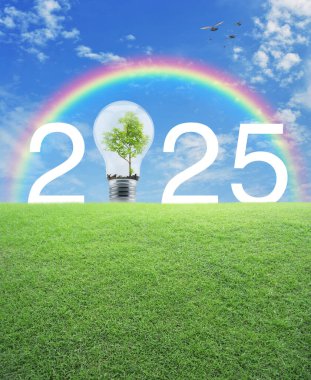 Mavi gökyüzü, beyaz bulutlar ve gökkuşağı üzerinde yeşil çimen üzerinde ağaç üzerinde 2025 beyaz metin ve ampul, Mutlu yeni yıl ekolojik kapak konsepti
