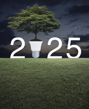 Toprakta ampullü büyük yeşil ağaç ve 2025 harfli yeşil çimenlik alanda günbatımı gökyüzünde kuşlarla birlikte, mutlu yeni yıl ekolojik kapak kavramı.
