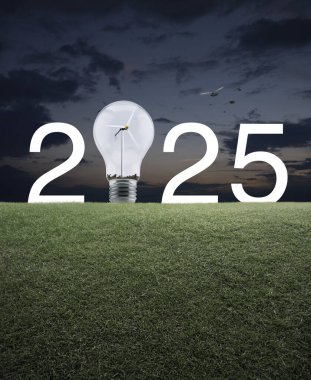 2025 beyaz yazı ve ampul içinde rüzgar türbini olan yeşil çimen tarlasında gün batımında gökyüzünde kuşlarla birlikte mutlu yıllar 2025 ekolojik kapak kavramı.