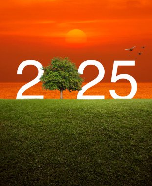 2025 beyaz metin, yeşil çimlerin üzerinde ağaçla günbatımında gökyüzü ve deniz kuşlarla, mutlu yeni yıl 2025 ekolojik kapak konsepti