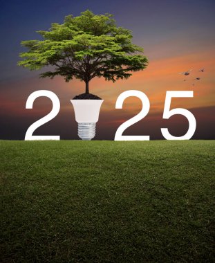 Toprakta ampullü büyük yeşil ağaç ve 2025 harfli yeşil çimenlik alanda günbatımı gökyüzünde kuşlarla birlikte, mutlu yeni yıl ekolojik kapak kavramı.