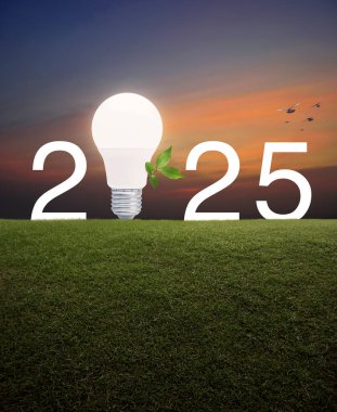 Taze yapraklı ampul ve günbatımı gökyüzü ve kuşlar üzerinde yeşil çimen tarlasında 2025 mektup, 2025 yılı ekoloji tasarruf ve enerji kavramı