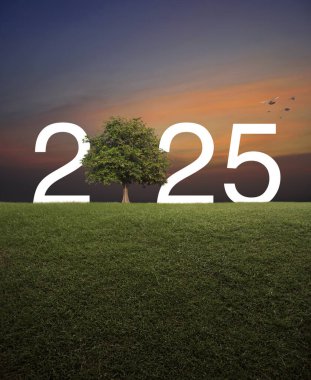 2025 beyaz metin yeşil çimenlik alanda gün batımında gökyüzünde kuşlarla mutlu yıllar 2025 ekolojik kapak konsepti