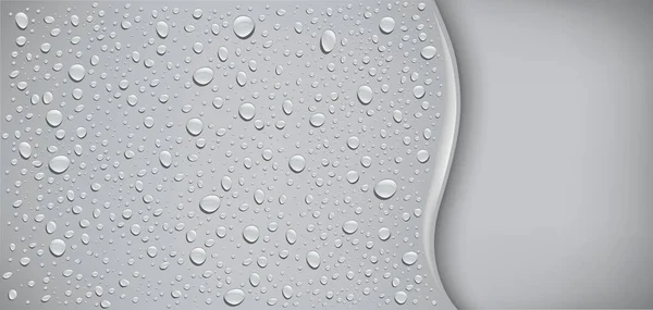 Water Drops Grey Background — Stock Vector